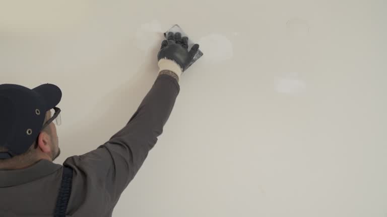 Best Ceiling Drywall Installation  in Hornell, NY